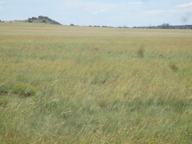 1 Bedroom Property for Sale in Bloemfontein Rural Free State